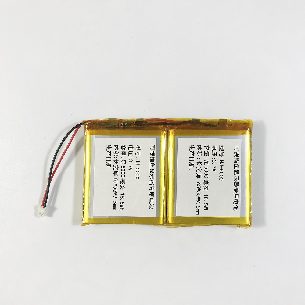 可视锚鱼电池探鱼器钓鱼