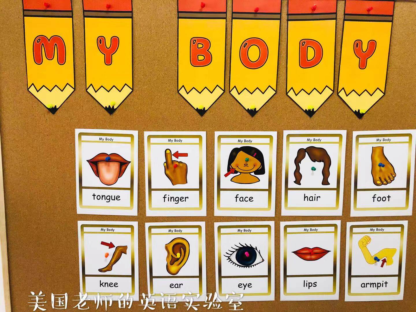 my body身体五官四肢英文卡片主题墙装饰亲子早教英语教师教具