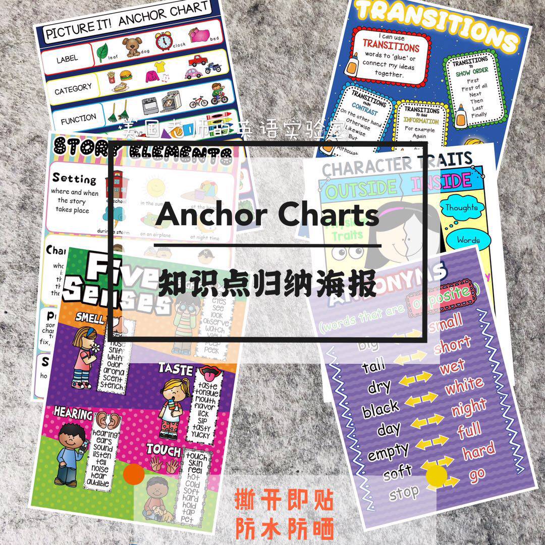 anchor chart 英语早教国际学校英文培训 知识点归纳锚图海报教具
