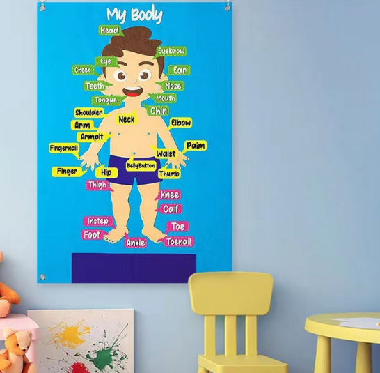 英语启蒙幼儿园身体部位body parts认知配对互动游戏挂袋教师教具
