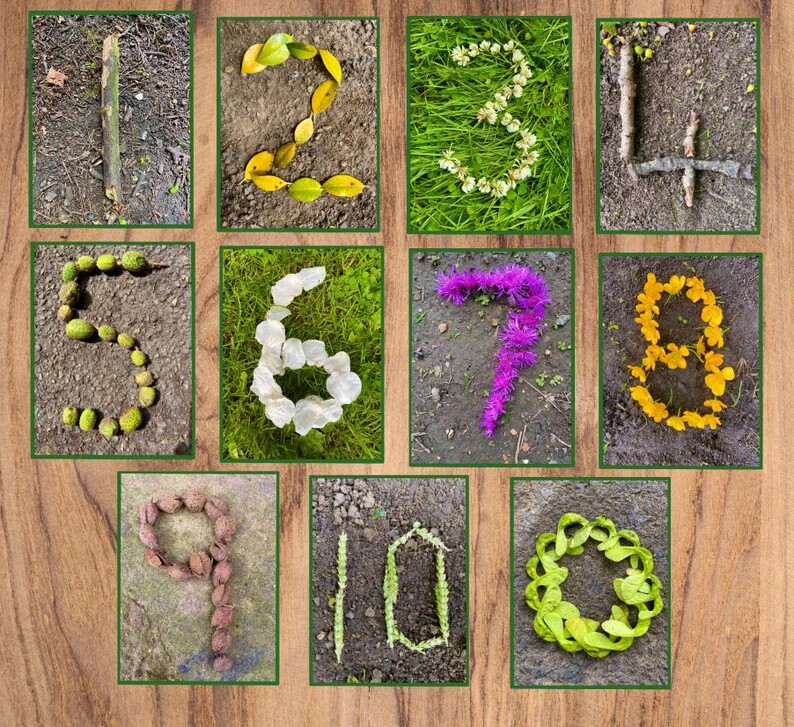 瑞吉欧华德福森林自然学校教室环创字母数字主题墙布置自然物装饰