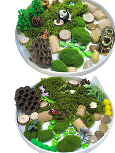 瑞吉欧森林动物昆虫主题感官盆开放性材料儿童早教玩具幼儿园