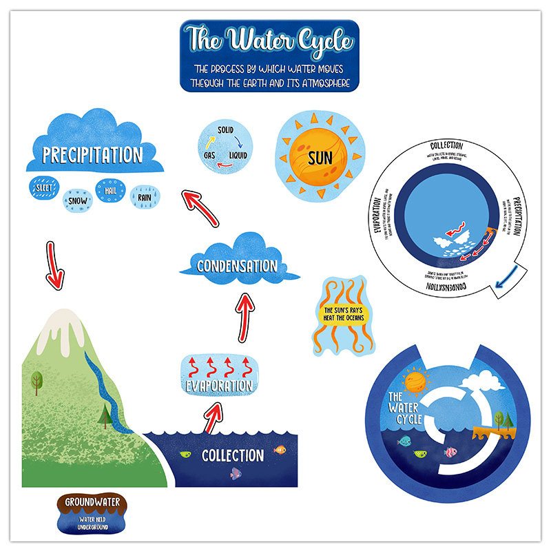 stem科学水循环water cycle自然英文主题墙探究海报墙贴教室环创