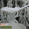 雪燕 拉絲龍須段植物燕窩 修剪過雜質少雪燕 天然血燕50克包郵