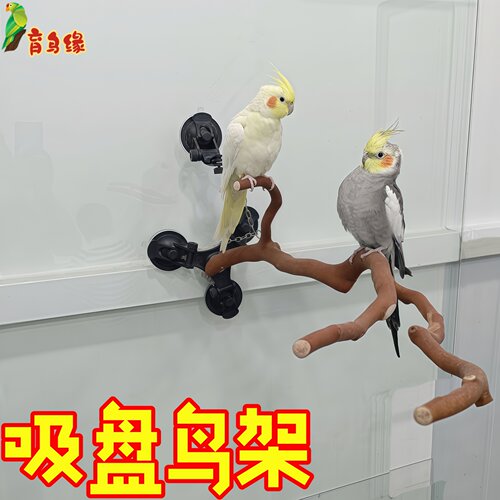 育鸟缘自然实木树枝站架
