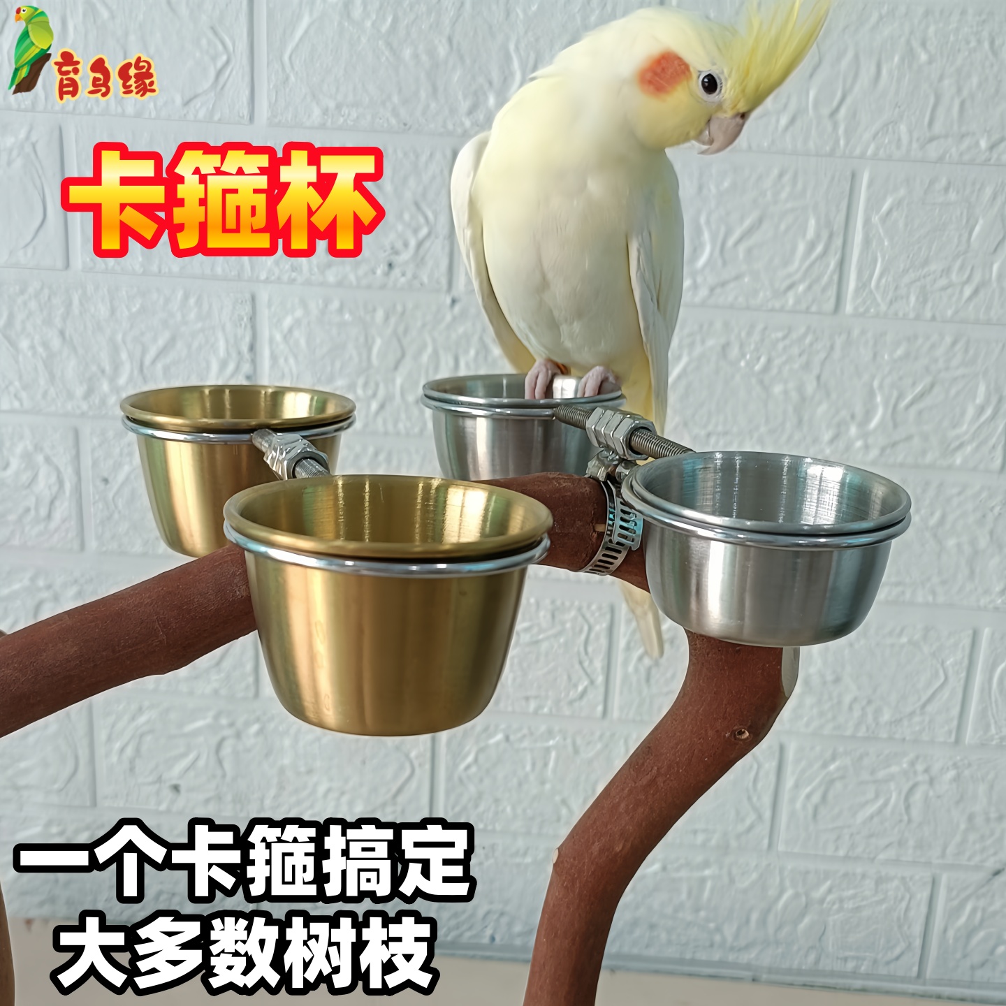 育鸟缘鹦鹉鸟类不锈钢杯子