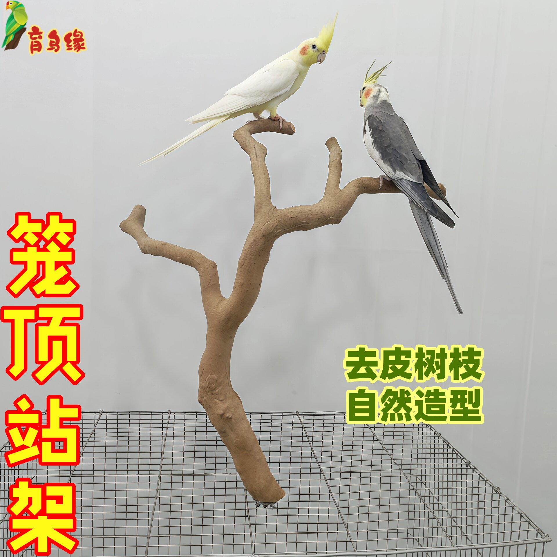 鹦鹉简单架站棍笼顶玩耍互动站杆笼底站架桌面站杆多场景实木站架