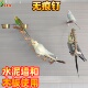 中小型鹦鹉墙面站架水泥墙面实木板吸附树枝站架无痕钉鸟站杆站棍