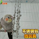 鹦鹉玩具不锈钢小铃铛笼子配件玩具育鸟缘鹦鹉不锈钢玩具磨喙磨嘴