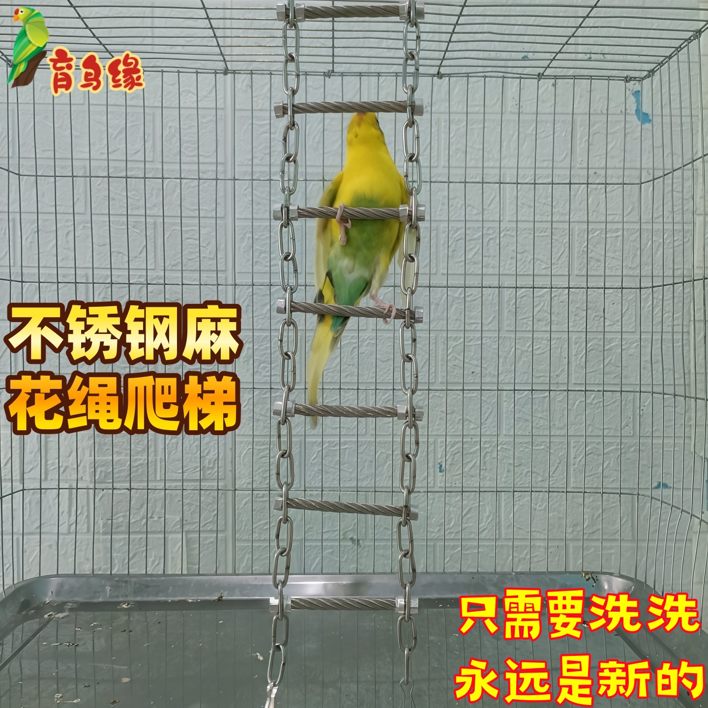 育鸟缘鹦鹉不锈钢链条小梯子