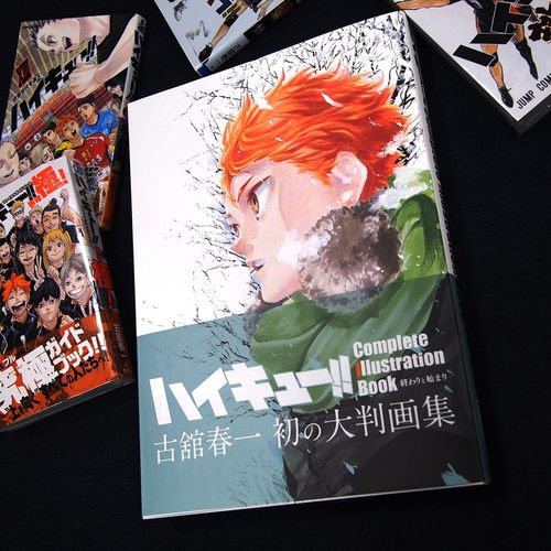 排球少年原画集快乐的结局日文