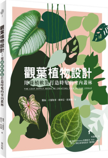 打造时髦 室内丛林 萝伦‧卡蜜勒里 预售 麦浩斯出版 观叶植物设计：用绿植软装 苏菲亚‧凯普兰 外图台版