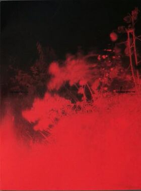 现货 英文原版 Richard Mosse：Broken Specter 理查德·莫斯：破碎的幽灵