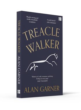预售【外图英文原版】 2022年布克奖短名单入围 Treacle Walker 艾伦加纳 Alan Garner 男版爱丽丝梦游仙境