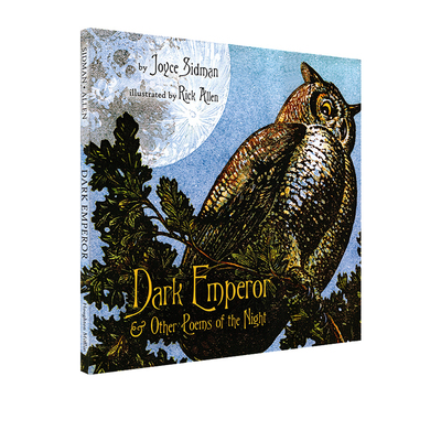 黑暗的帝王精装纽伯瑞银奖