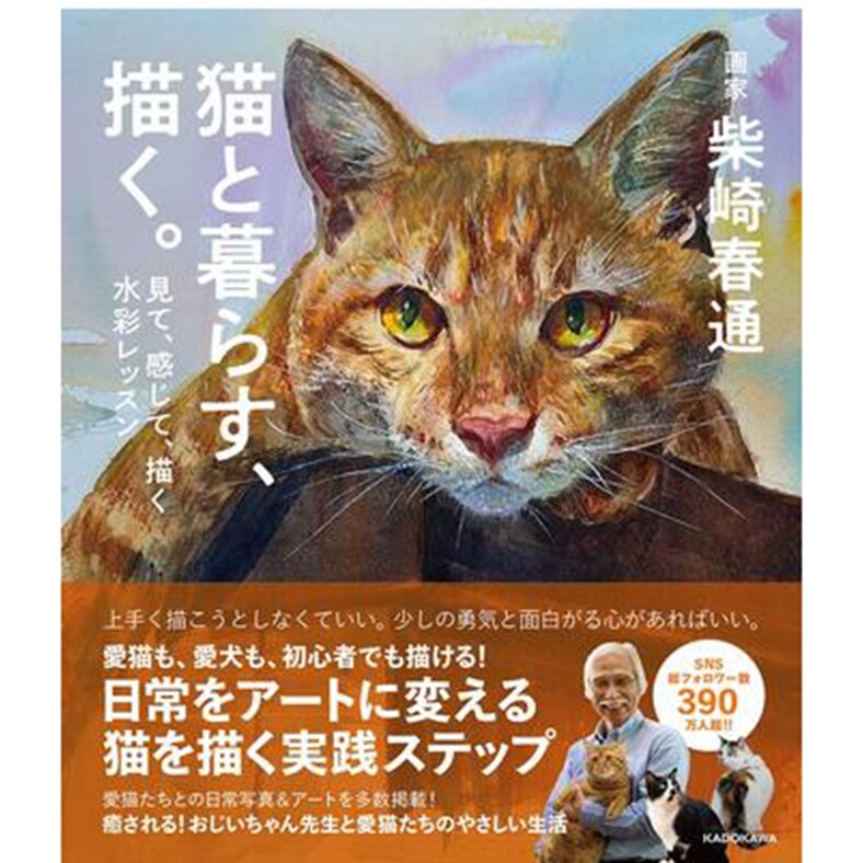 与猫相伴,提笔描绘日文