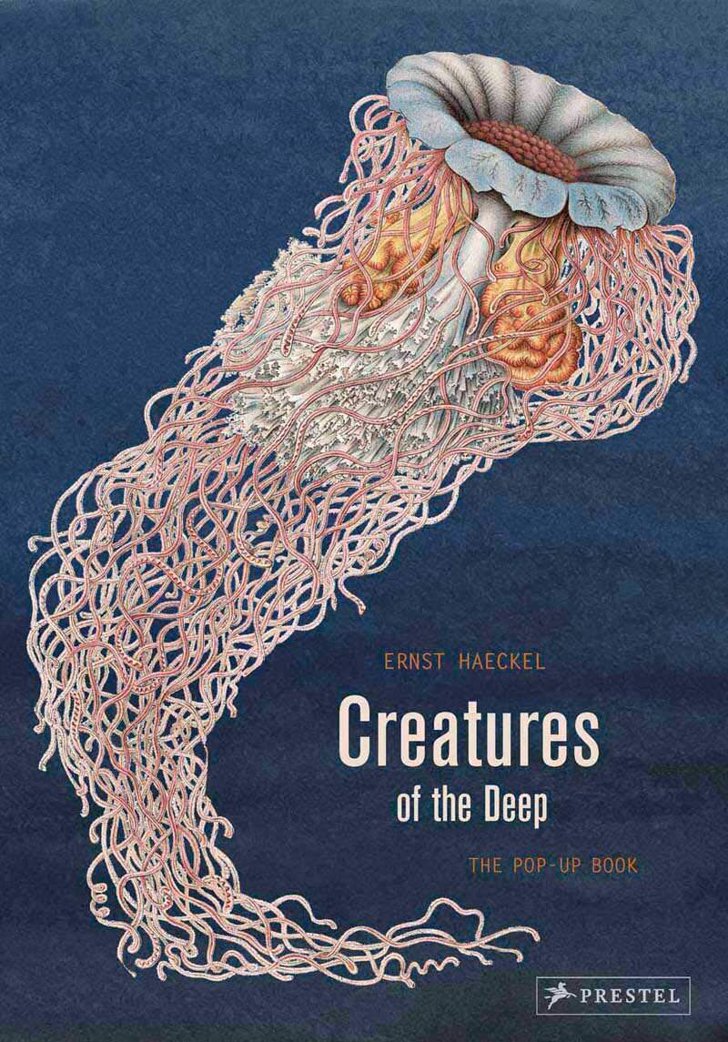现货【外图英文】深海生物3D立体书 进口艺术 Creatures of the Deep: The Pop-up Book 进口创意礼品书 益智玩具 科普读物