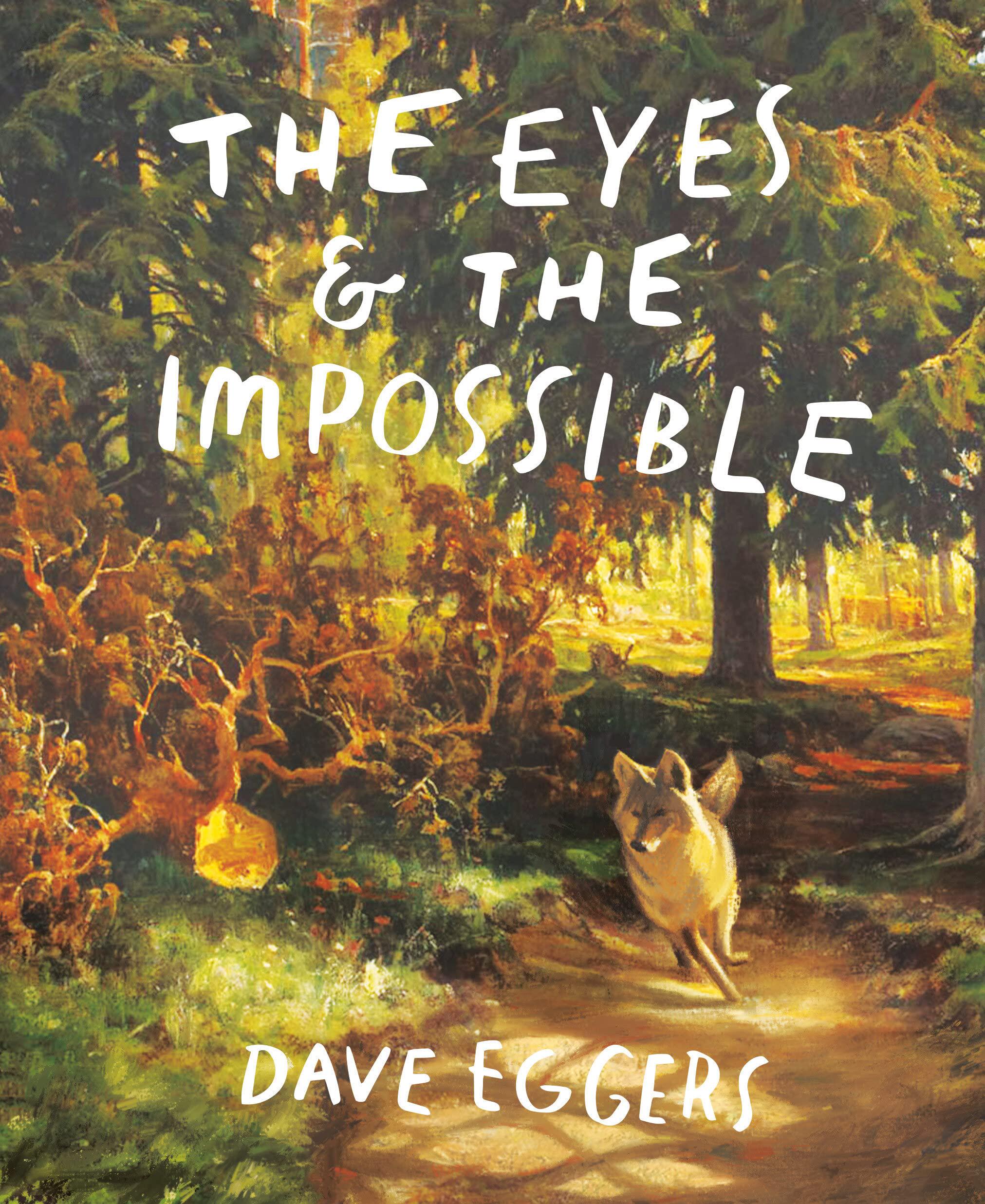 现货 英文原版 精装 动物友情 The Eyes and the Impossible 观察者和不可能 纽约时报畅销书 2024年纽伯瑞奖获奖