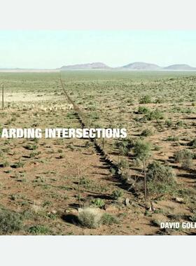 现货 英文原版   DAVID GOLDBLATT REGARDING INTERSECTIONS 大卫·戈德布拉特谈十字路口