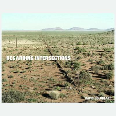 现货 英文原版   DAVID GOLDBLATT REGARDING INTERSECTIONS 大卫·戈德布拉特谈十字路口