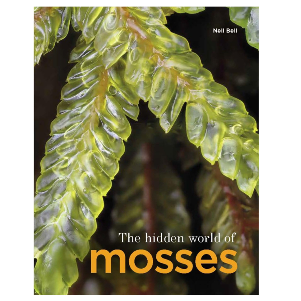 TheHiddenWorldofMosses