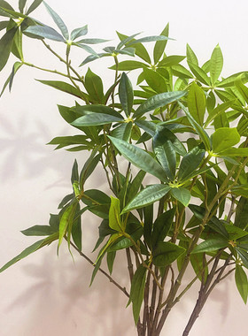手感绿植橱窗假树造景发财树叶