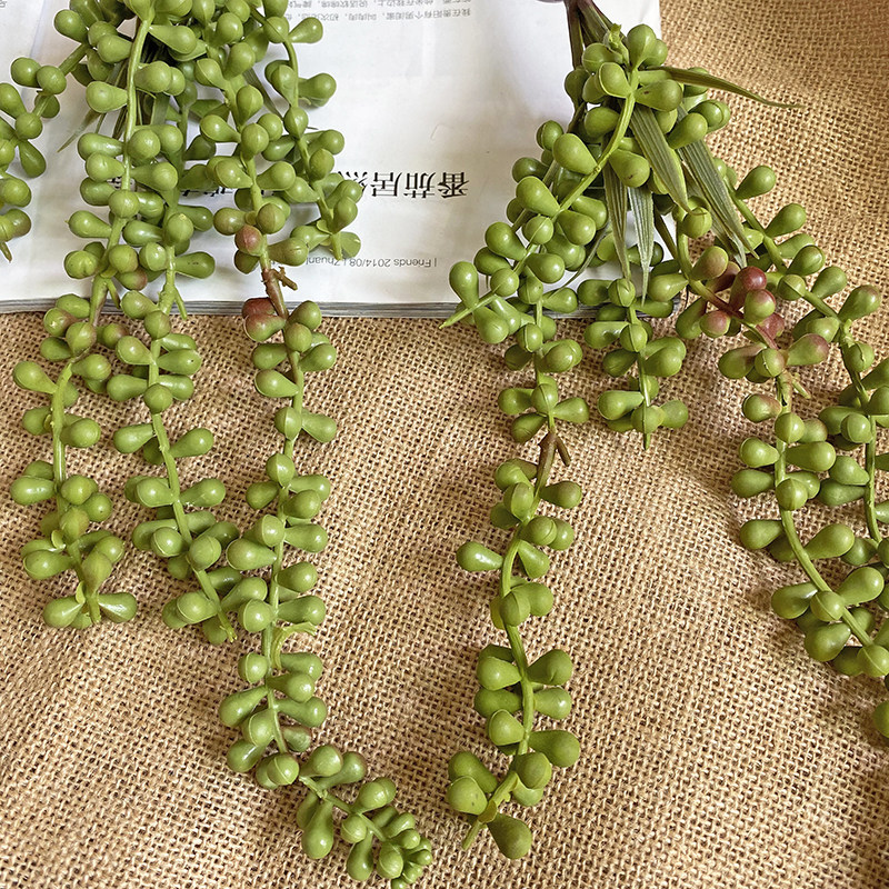 多肉仿真情人泪佛珠吊兰客厅卧室墙面装饰阳台垂吊植物假花壁挂件