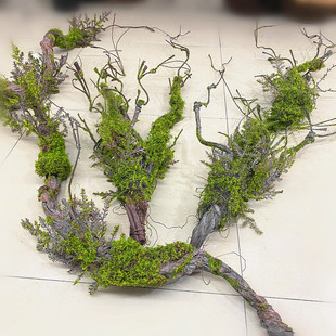 仿真枯藤苔藓树藤森系婚庆造景装饰摆放假藤条青苔藤垂挂树枝花艺