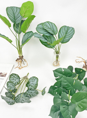 龟背叶手感森系造景绿色仿真植物