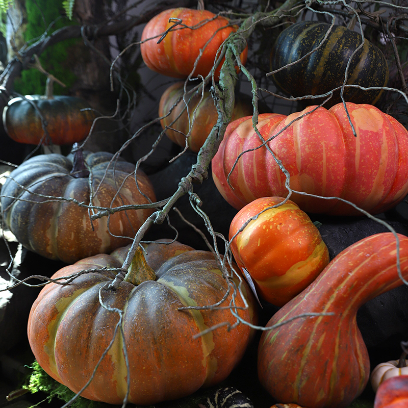 仿真南瓜枯藤摆件假水果蔬菜道具丰收节农家乐家超市场装饰品摄影
