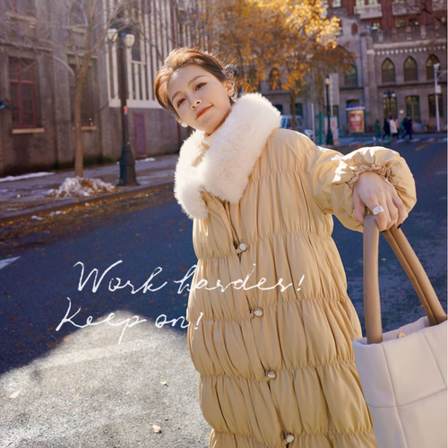 浙宝116 ZB116M8023