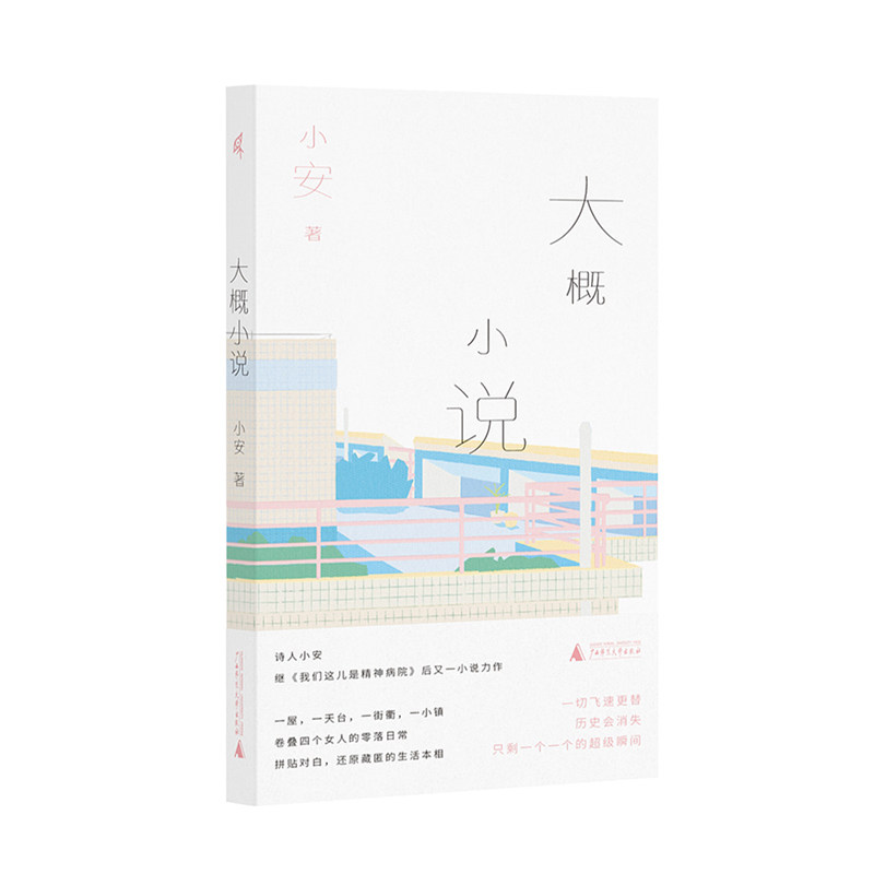 现货 正品 大概小说 诗人小安继《我们这儿是精神病院》后又一小说力