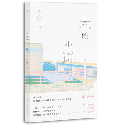 大概小说小安著新民说书系