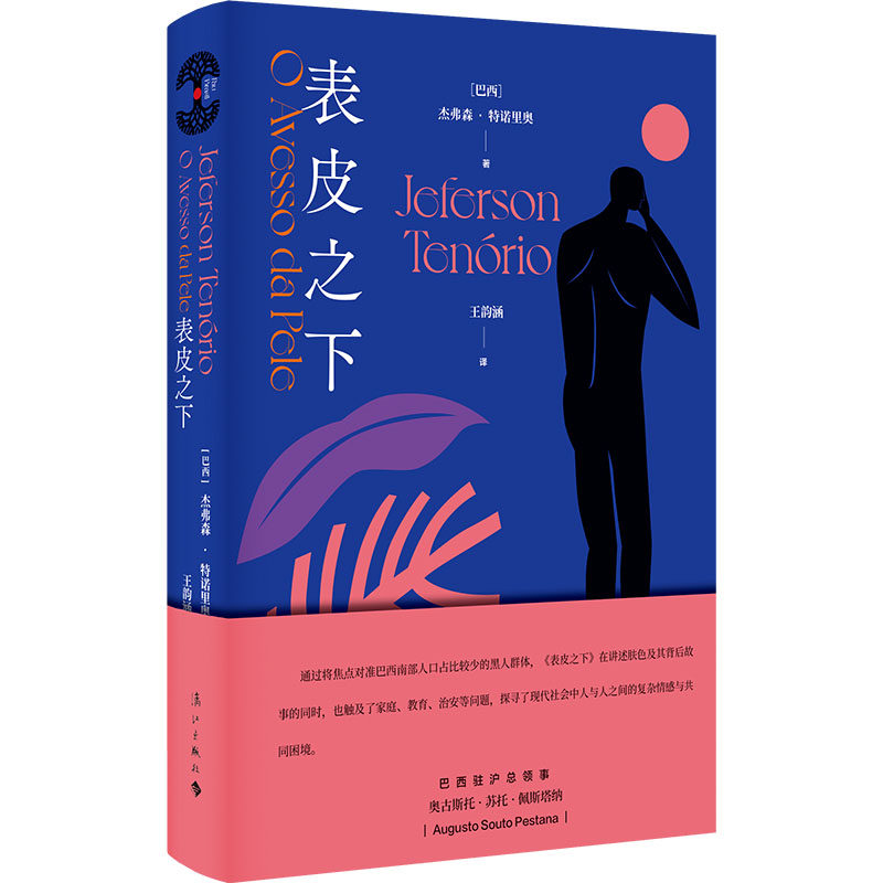 表皮之下 巴西木系列 雅布提文学奖得主作品 探讨巴西种族 社会和个体困境 揭示人性深度 葡语巴西当代文学外国文学 歪犁D