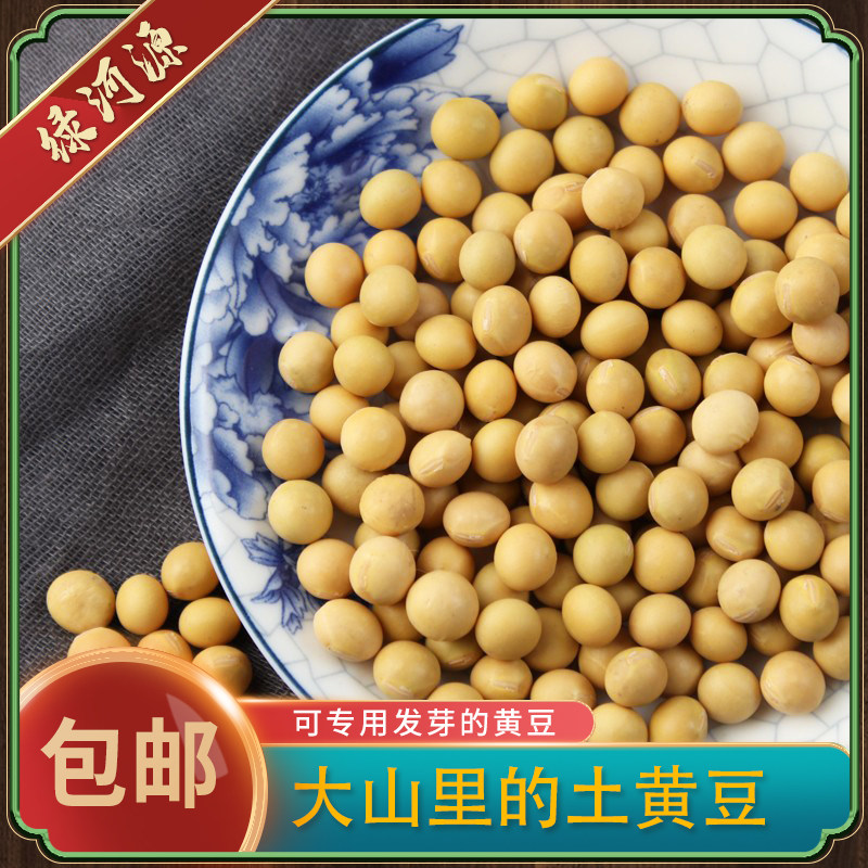 新货黄豆大豆农家自种小黄豆 发豆芽打豆浆黄豆五谷杂粮500g