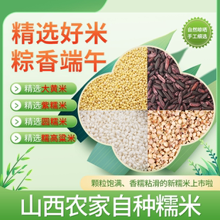 新黄糯米圆江米紫糯米 糯高粱米做粘糯粽软米杂粮粽子端午粽5斤
