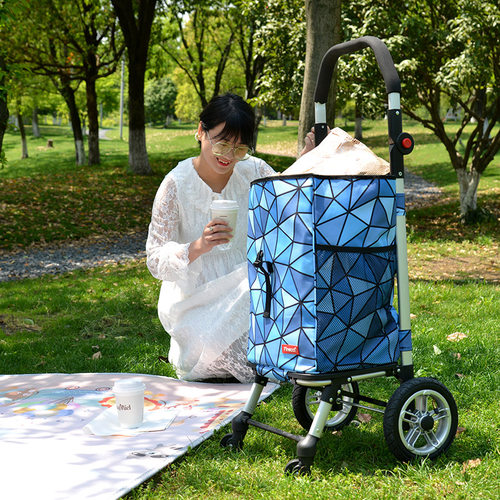 致丽生活购物车四轮买菜便携折叠