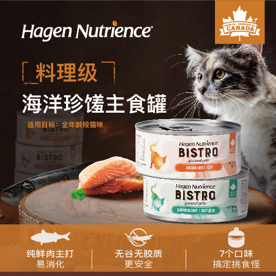 Nutrience猫罐头无谷湿粮增肥