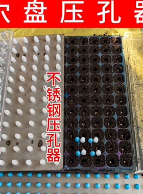 育苗穴盘打孔器不锈钢穴盘播种专用压穴板压孔板压坑板压穴播种机