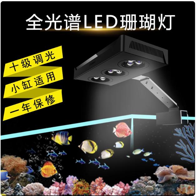 A029珊瑚灯LED灯日出日落