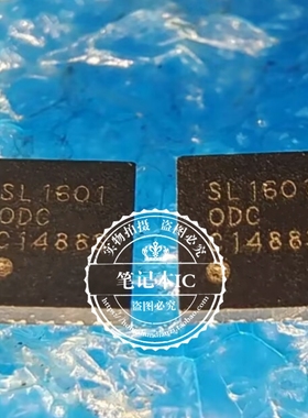 SL16010DCT SL16010DC SL1601 QFN10脚 新的 一个起拍