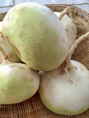 2023年新挖恰玛古5斤新疆柯坪县新鲜强碱性蔬菜调节酸碱平衡包邮