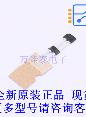 霍尔传感器 TLE4941CHAMA2 SSO-2 全新原装正品