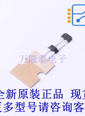 霍尔传感器 TLE5041PLUSCXAMA1 SSO-2 全新原装正品