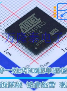 AT91SAM9X25-CU 封装BGA-217 电源电压0.9V ~ 1.1V 全新原装现货