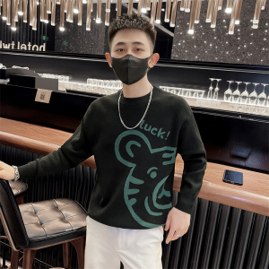 社会小伙秋冬季男士修身针织衫圆领休闲套头毛衣男C203-8844-P58图片