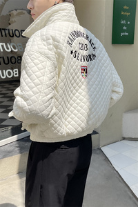 青春流行男士轻奢风立领休闲羽绒棉服潮流刺绣棉衣外套C203-1066图片