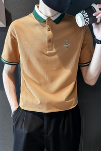 精神小伙夏季半袖翻领polo衫帅气百搭短袖条纹T恤男C203-8864-P58图片