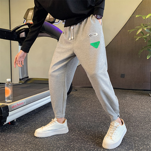 2025春秋季新款男士灰色长裤华夫格松紧腰休闲哈伦裤C203-6701P58,男装休闲裤,电商C208