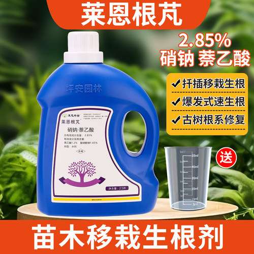 坪安傻根芃苗木移植生根粉生根剂大桶装快速生根液复硝酚钠萘乙酸